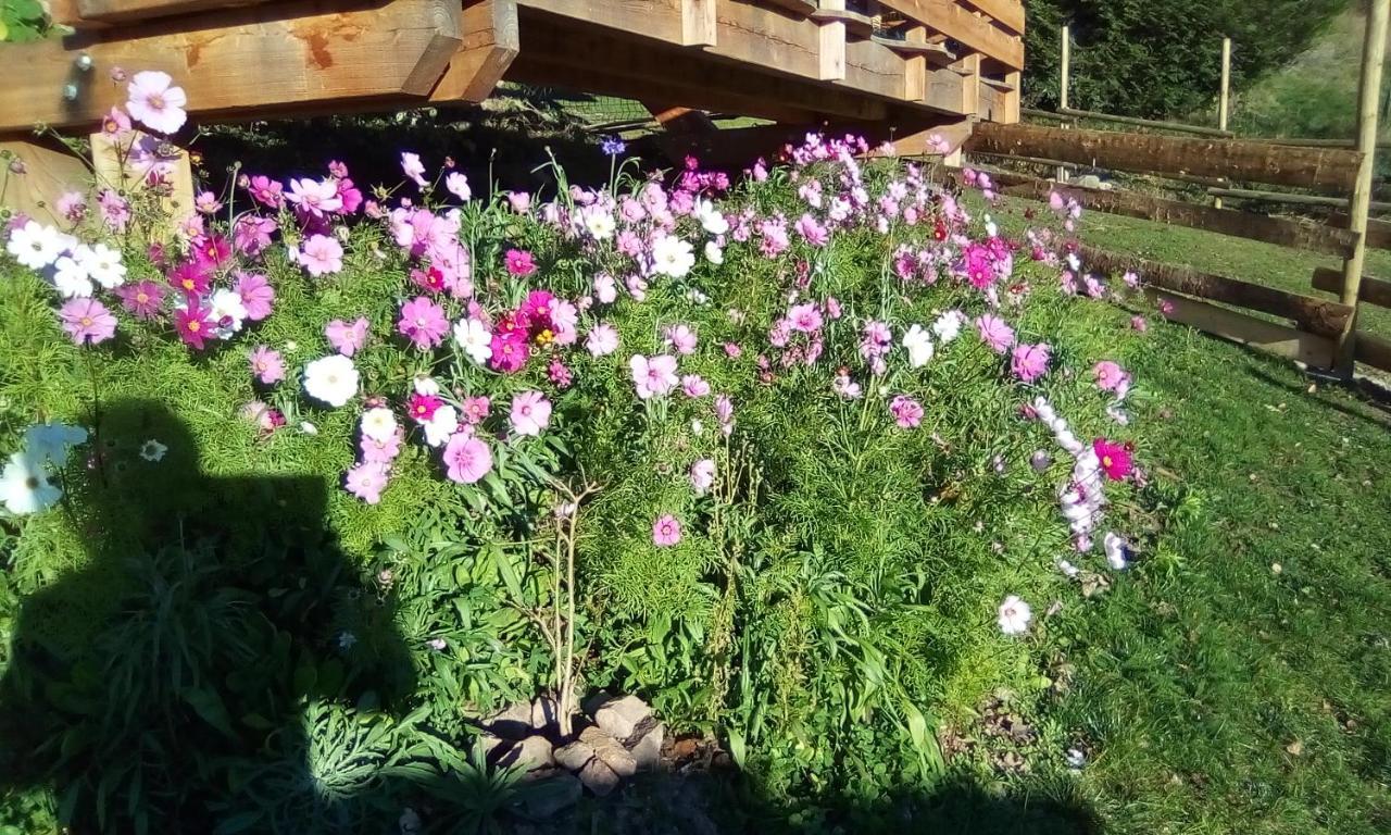 Auberge De La Grange Spa & Sauna プレンフェン エクステリア 写真